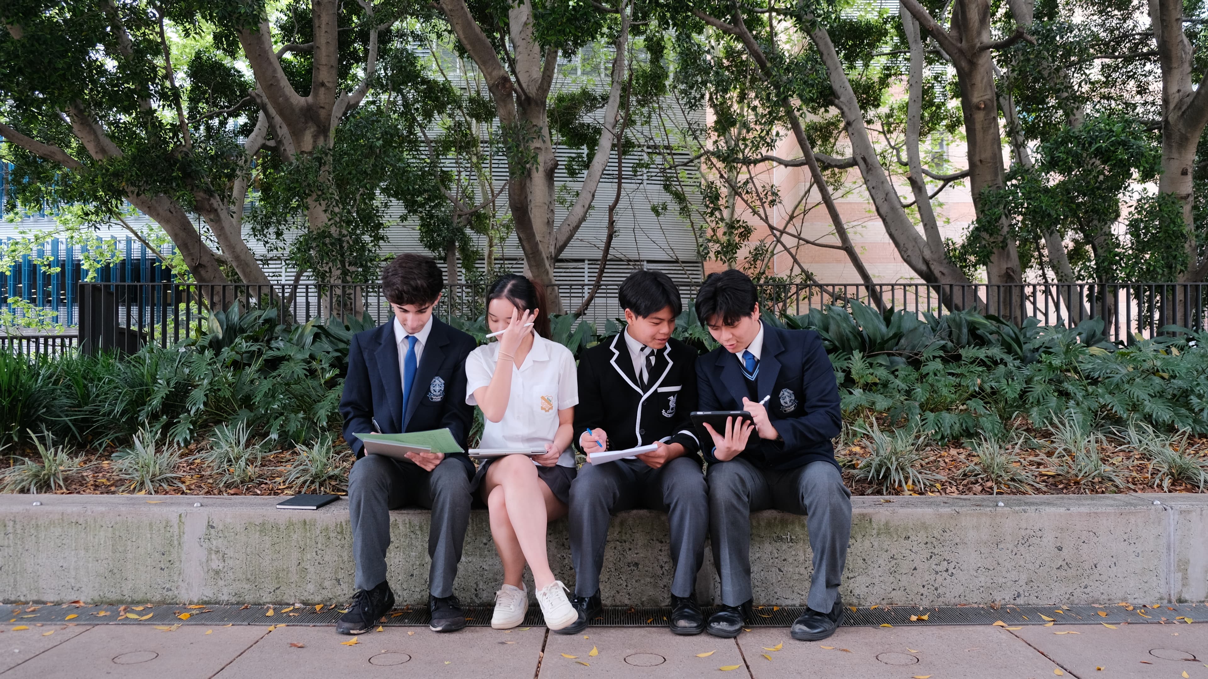 Students studying
